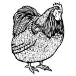 CHICK014