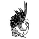 CHICK015