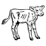 COW028