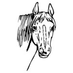 HORSE003